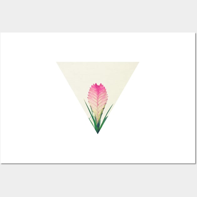 Bromelia II Wall Art by Cassia